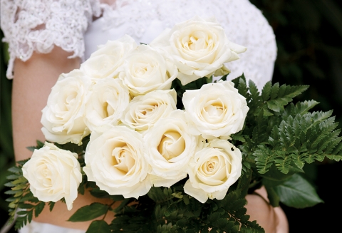 Weddingku Honeymoon Review weddingku komunitas wedding honeymoon indonesia Weddingku Honeymoon Review weddingku komunitas wedding honeymoon indonesia