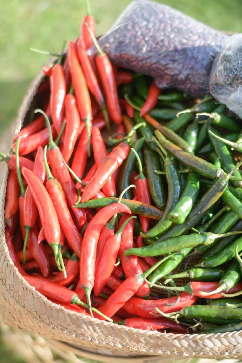 The Story of Christian Bautista & Kat Ramnani 53