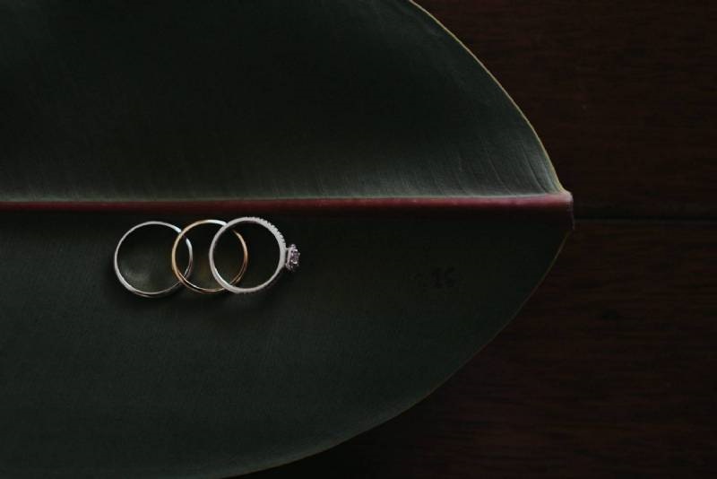 Glass House by Tirtha 9