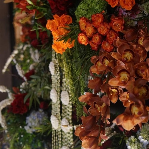 Suryo Decor