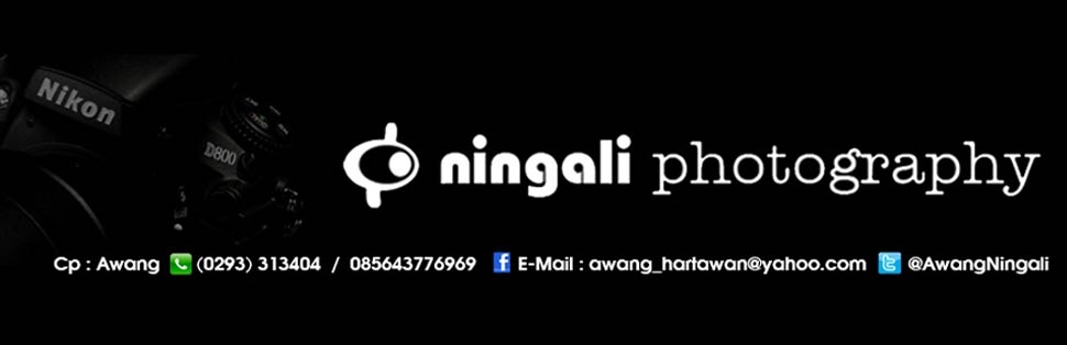 Ningali Photography 