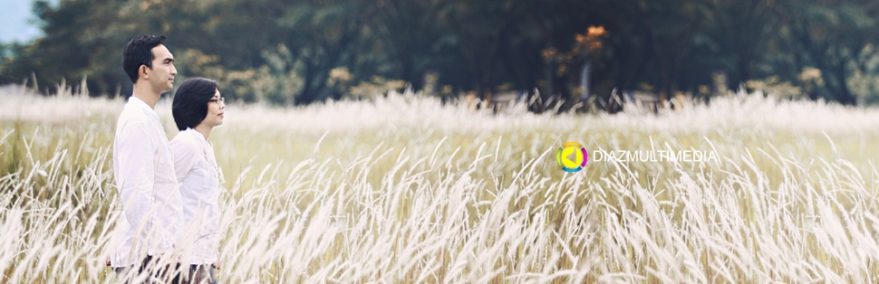 dani diaz multimedia