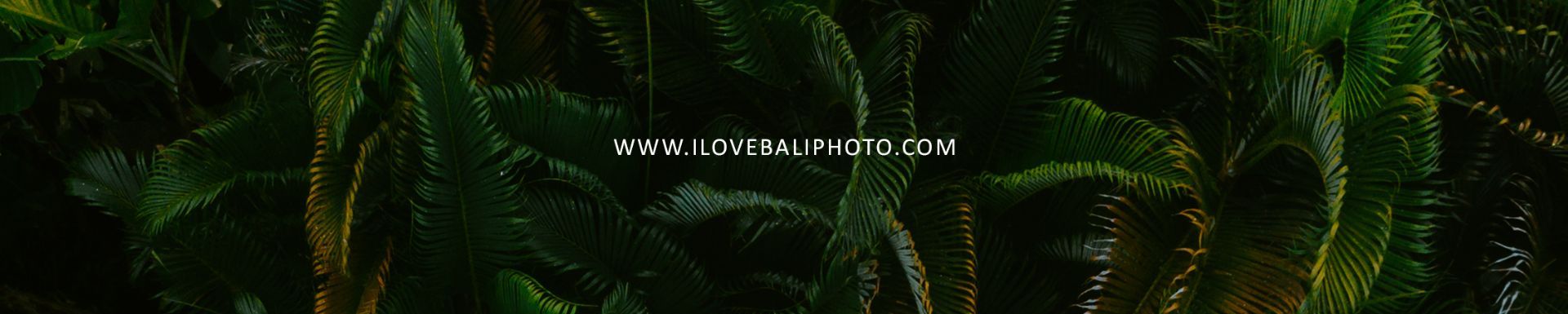 I Love Bali  Photography