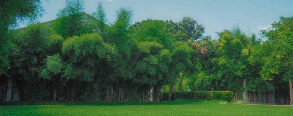 Pavilion Function Point