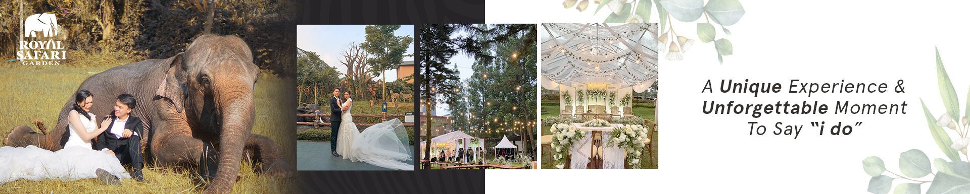 Royal Safari Garden Resort & Convention