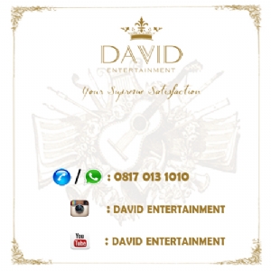 David Entertainment