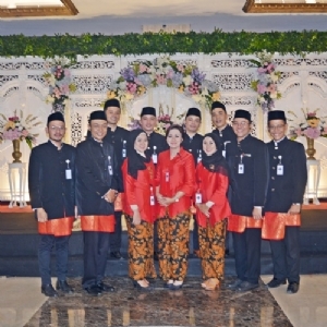 StripeLines Organizer