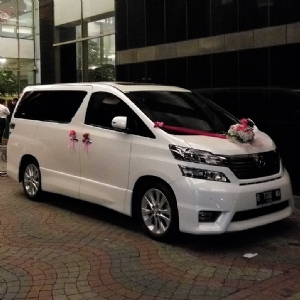 Shasha alphard vellfire wedding rent car