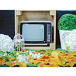 Wedding All in Package