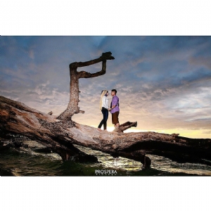 Prospera Pictura