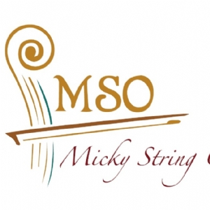 Micky String Orchestra
