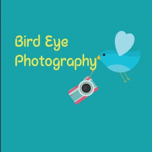 BirdEye Photography