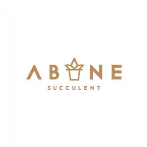 ABANE Succulent