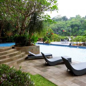 Oak Tree Emerald Semarang 