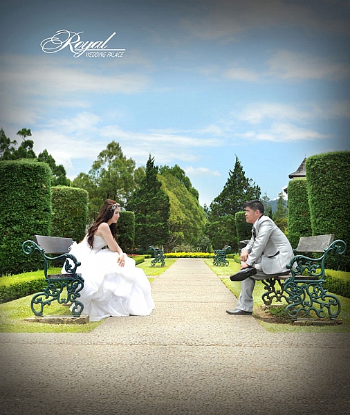 the royal wedding medan