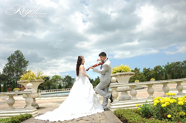 the royal wedding medanphoto