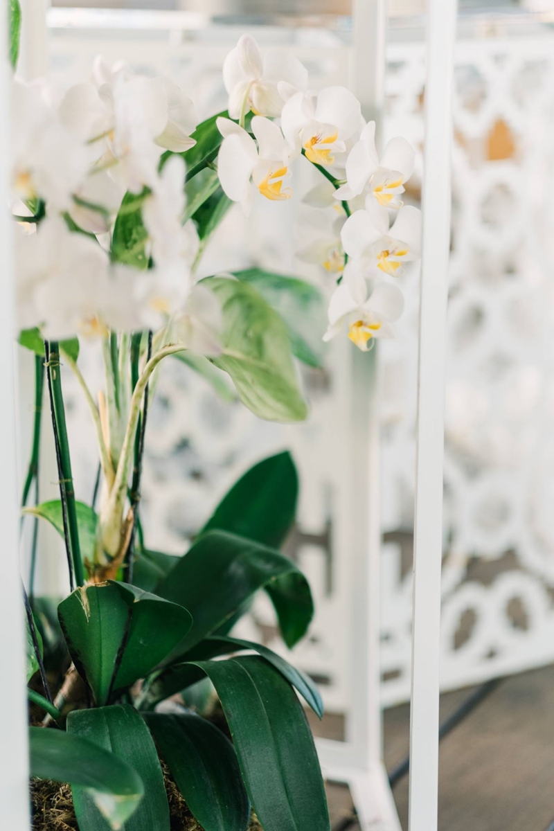 Anna and Adie Rustic Theme Wedding 3
